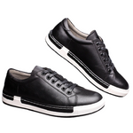 Pollogie™ Simple Leather Shoes