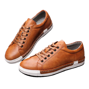 Pollogie™ Simple Leather Shoes