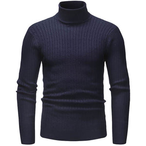 Pollogie™ Knitted Roll Neck Sweater