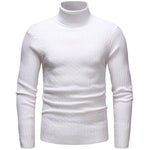 Pollogie™ Knitted Roll Neck Sweater