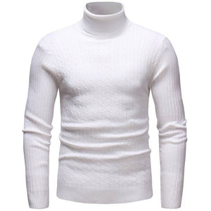 Pollogie™ Knitted Roll Neck Sweater