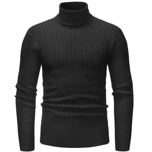 Pollogie™ Knitted Roll Neck Sweater