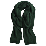 Pollogie™ Simple Scarf