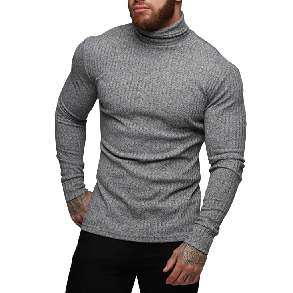 Pollogie™ Demetrio Turtleneck Sweater