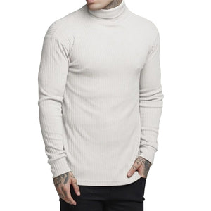 Pollogie™ Demetrio Turtleneck Sweater