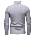 Pollogie™ Knitted Roll Neck Sweater