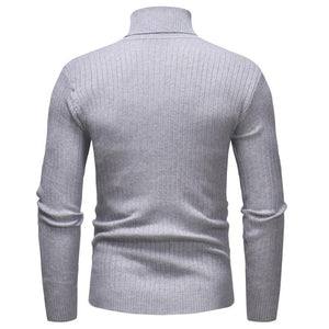 Pollogie™ Knitted Roll Neck Sweater