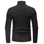 Pollogie™ Knitted Roll Neck Sweater