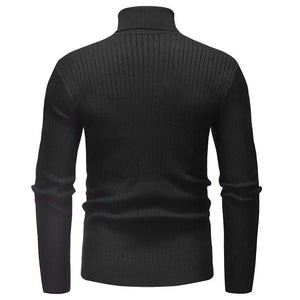 Pollogie™ Knitted Roll Neck Sweater