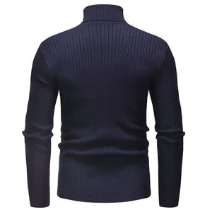 Pollogie™ Knitted Roll Neck Sweater