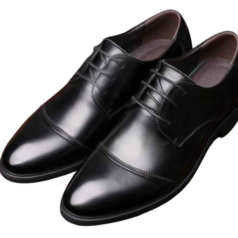 Pollogie™ Elegant Formal Shoes
