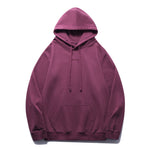 Pollogie™ Embroidered Hoodie