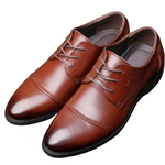 Pollogie™ Elegant Formal Shoes