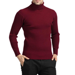 Pollogie™ Cashmere Turtleneck Sweater